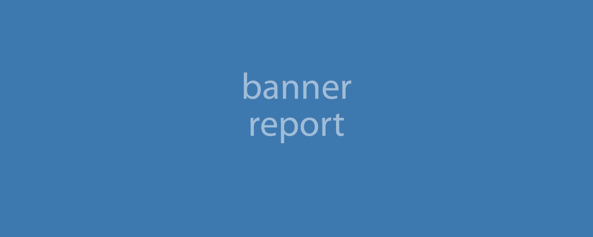 Report