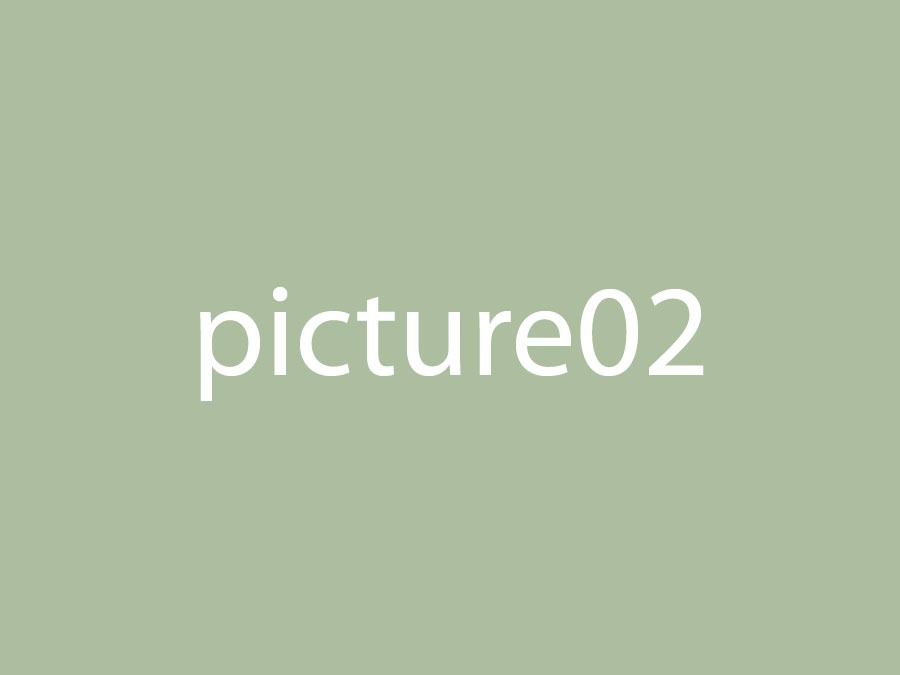 Picture 2