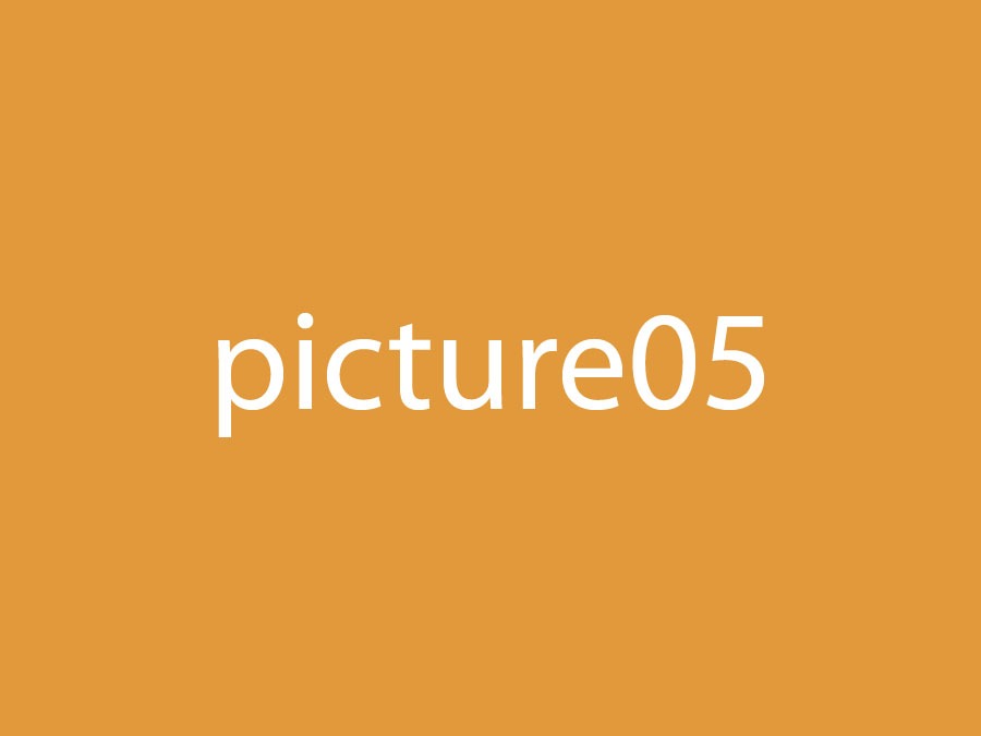 Picture 5