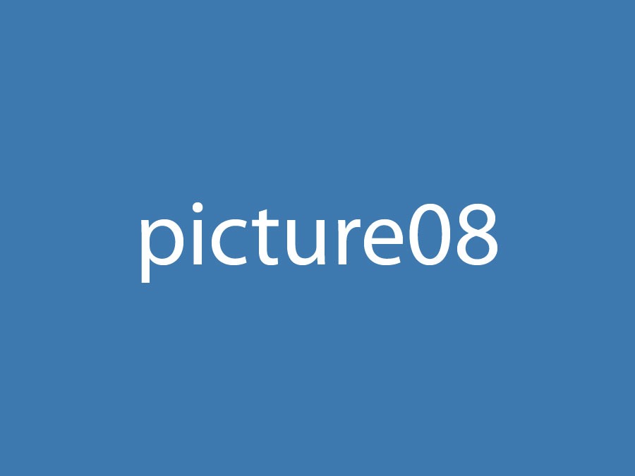 Picture 8