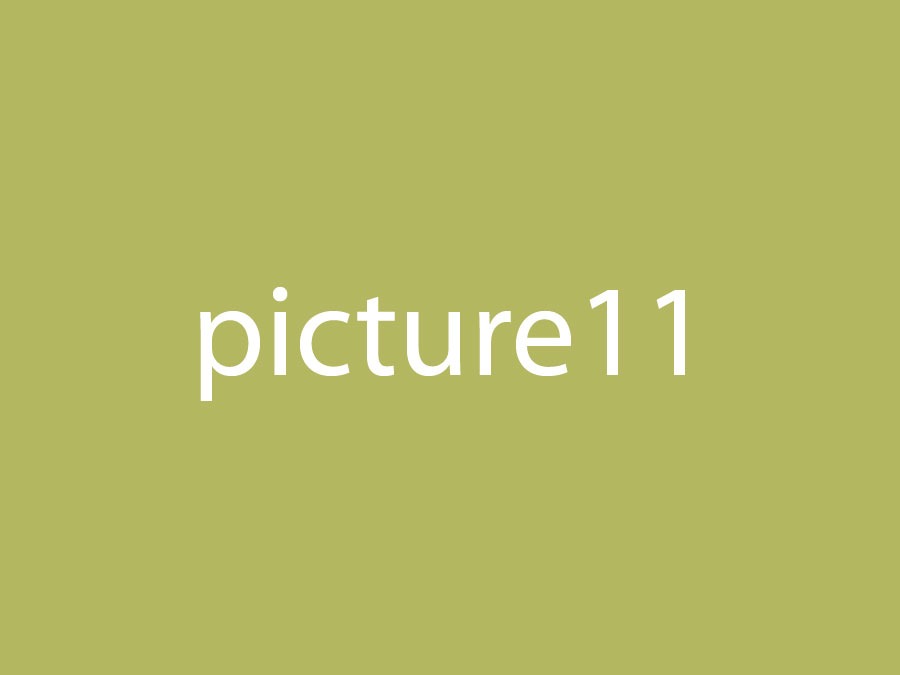 Picture 11