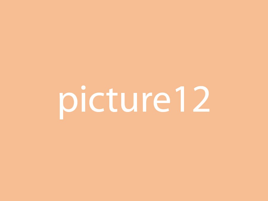 Picture 12