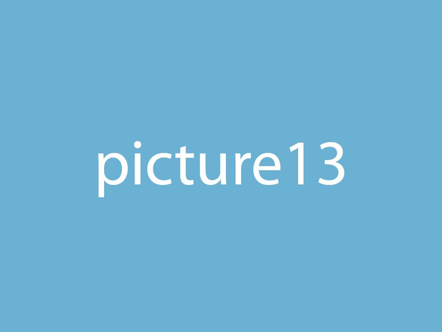 Picture 13